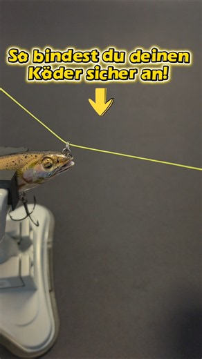 So bindest du deinen Köder sicher an! #fishing #angeln #angler #fishingtips #fishinglife
