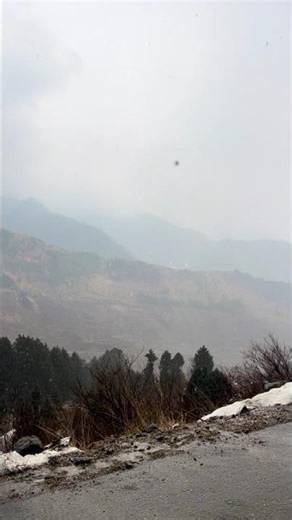 Rajgundha Valley LIVE Snowfall! ❄️ Is it better than Manali? #shorts