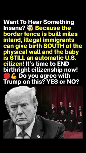 Trump Birthright Citizenship Debate Goes Viral 🇺🇸