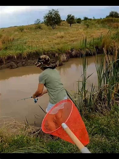 Exploring a Blueclaw Crayfish Paradise in the Outback