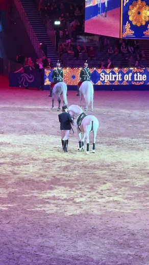 Understanding Horse Lameness: Causes and Solutions