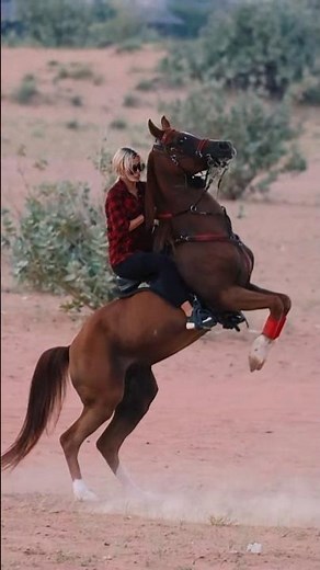 🐎 Jump Girl Speed Ride | Amazing Horse Jumping in Action! ⚡