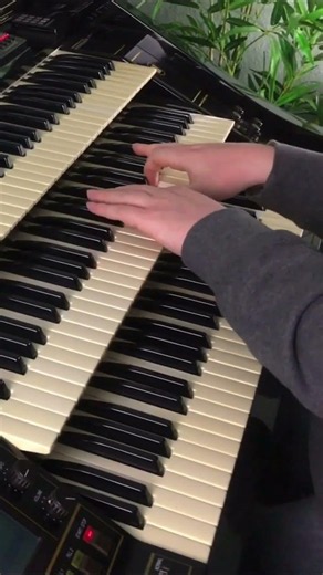 I Love You | Florian Hutter - Wersi Atlantis #shorts #organ #rumba
