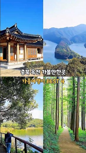 충북 옥천 가볼만한곳 가을여행지 추천 BEST4 #충북여행 #옥천여행 #가을여행지 #가을여행 #가을여행지추천