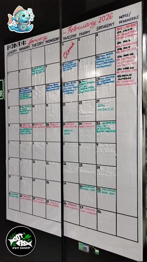 Start the year with a polished aquarium. Schedule a Home Service Maintenance and/or Aquascape with us. 🐠 GOT FISH PET SHOP! Your one-stop splash spot for everything fishy and fabulous. 🌊 We also provide Freshwater Fishes, Plants and Aquarium Equipments. Visit us at Ground Floor Circle C Mall, Congressional Avenue corner Jupiter Street, Barangay Bahay Toro, Project 8, Quezon City. Beside Mall Left Entrance, near Pancit Malabon. Store Hours: * Monday - Sunday * 10:00AM - 9:00PM For other queries