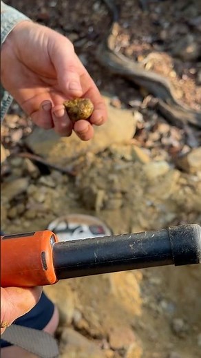 Testing Rocks for GOLD Nuggets with the Quest XPointer Max #Questxpointermax #tools #metaldetecting