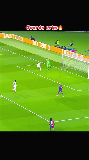 Exploring the Guards of German Soccer