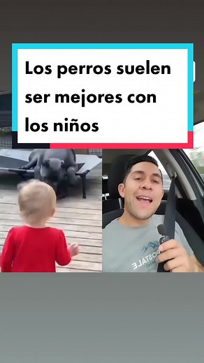 Los perros grandes y su relación con los niños: El caso del Cane Corso