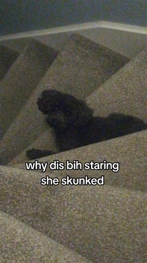 staring problem #peak #fyp #xyzbca #crashout #meme