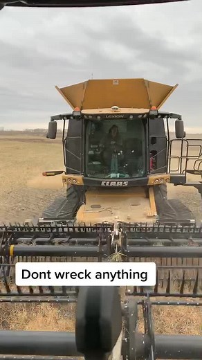 Harvest 2020 Shenanigans: Never Back Down on the Farm