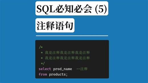 SQL必知必会 (5)：注释语句