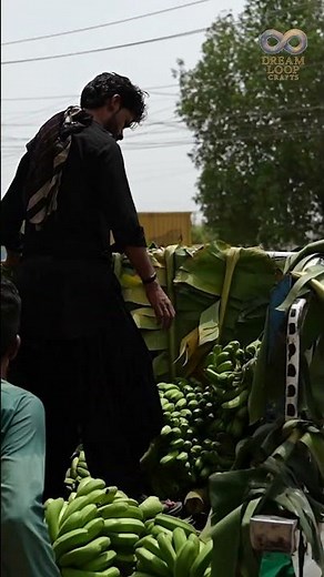 How Cold Storage Ripens Bananas Perfectly | Inside Modern Banana Ripening Chambers 2025