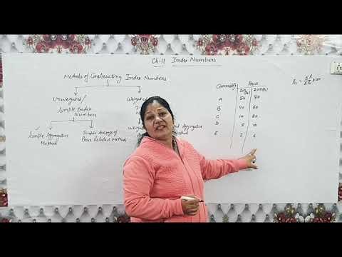 Index number class 11 chapter 11 #lecture 1