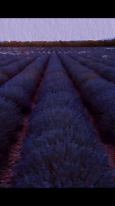 Mes sentiments 💕🎶🎵🎧 | Prof/ Nora El Garhy