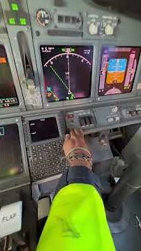 Before Every Flight: B737NG Cockpit Daily Inspection Explained ✈️