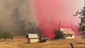 45K views · 672 reactions | BREAKING: The Fawn Fire has spotted close to Bear Mountain Road but crews and air tankers are working to put it out. Mandatory evacuation orders and evacuation warnings remain in place. Video from Mason Carroll. LATEST>> https://krcrtv.com/news/local/evacuation-orders-issued-due-to-fawn-fire-burning-north-of-redding | KRCR News Channel 7 | Facebook