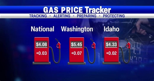 Local gas price checks