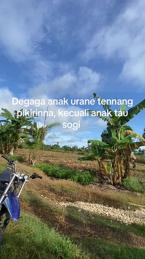 mr.ashar_32 on TikTok