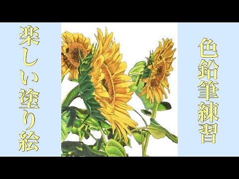 【大人の塗り絵】楽しい塗り絵 "ひまわり''塗り絵ダウンロードできます。是非やってください
