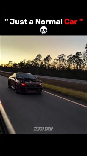 Insane Mustang ☠️