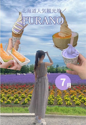 富良野のラベンダー畑: 夏の絶景