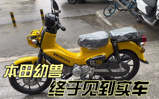 本田幼兽Cross Cub 110 实车到店 前轮abs 每升油跑68公里_哔哩哔哩_bilibili