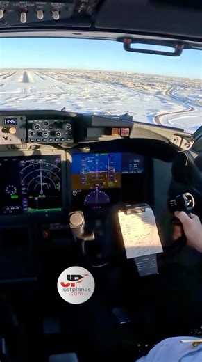 ✈️Flair🇨🇦737MAX landing at Calgary | Just Planes