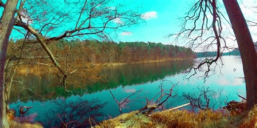 By the Lake- Spring Nature Sounds 4K (Relaxation, Meditation, Sleep)