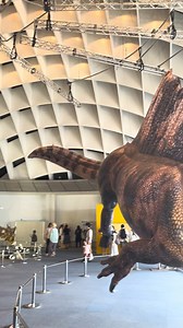 Odaiba Dinosaur Expo 2024 😍 | Dino Arte