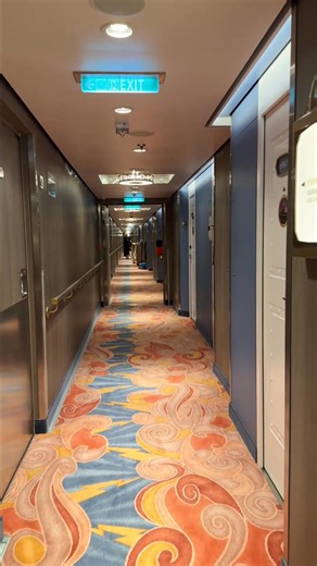 The best decorated doors on Disney Cruise Lines newest ship the Disney Destiny 🚪 With thanks to Indigodinosauruk for the incredible magnets ❤️ *Press Trip | Inside Our Suitcase