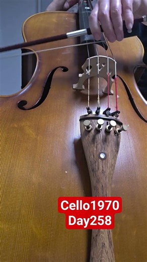 Day258 오늘 하루를 위해서산다