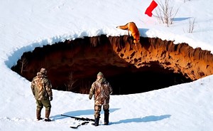 1.7K views | That day, we thought we'd simply return empty-handed...