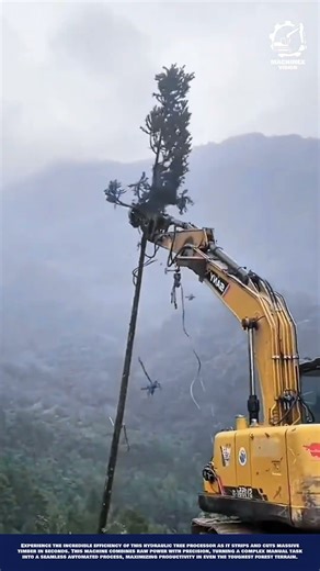 Excavator Tree Harvesting Machine Innovation for Timber Processing and Logging Efficiency