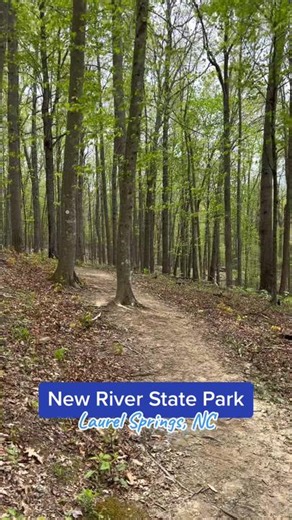 Exploring New River State Park in North Carolina