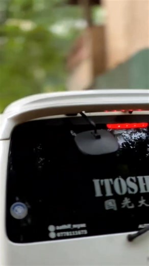 13K views · 1K reactions | DOLi  Sri Lankan Van Pisso SLVP #slvp #slvpmember | Sri Lankan Van Pisso SLVP | Facebook