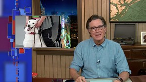 Researchers in Finland have produced very encouraging results in training dogs to sniff out Covid-19 infections in humans via a non-invasive test. | The Late Show with Stephen Colbert