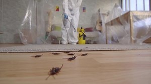 Pest Control Worker Sprayer Standing Home: Stockvideos & Filmmaterial (100 % lizenzfrei) 1035438485 | Shutterstock