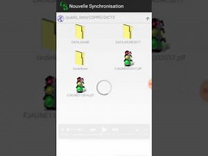 CSPRO 7 En francais Syncronisation plus Demo