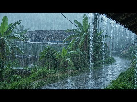 This Heavy Rain Sounds So Natural | Peaceful Countryside Rain for Sleep