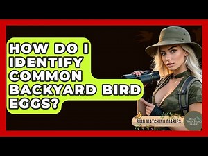 How Do I Identify Common Backyard Bird Eggs? - Bird Watching Diaries