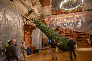 We are delighted to share this special behind-the-scenes, mini-documentary look at the annual raising of our 35-foot Banquet Hall Christmas tree—a beloved tradition that goes back 126 years to the time when George Vanderbilt first opened his grand home to friends and family on Christmas Eve, 1895. #ChristmasatBiltmore officially begins November 5, 2021, and we look forward to sharing the warm welcome and spirit of this special season with you and your loved ones. Reserve your Christmas visit: ht