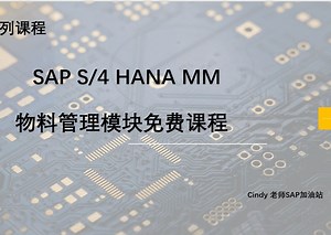 SAP S/4 HANA 物料管理模块入门免费课程合集