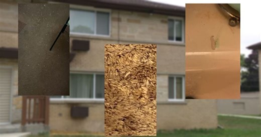 Housing attorney weighs in on Milwaukee woman's maggot-infested apartment