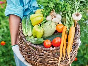 How To Grow An Edible Garden - Bunnings Australia