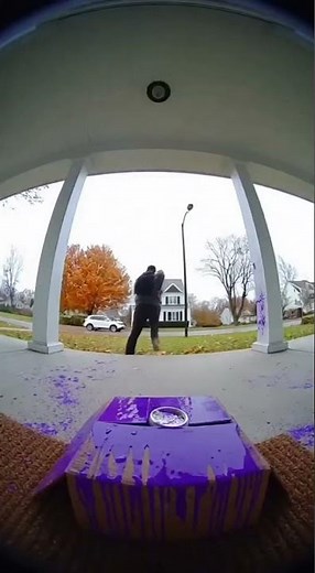 Porch Pirate Surprise!