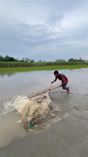 Rural Boys Catching Fish Like Pros #fishing #handfish