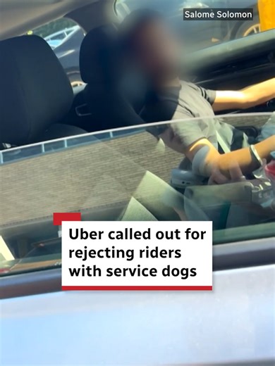 Challenges of Ride-Sharing with a Service Dog in Ottawa
