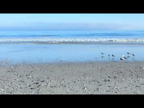 Wave Wednesday #beachviews from Myrtle Beach, South Carolina