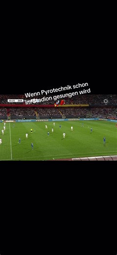 Marius Bauer on TikTok