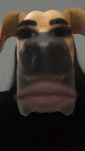 IM A EAGLE ARHHHHHHHHHHGHHGGGGGHHHHHHHHHGHHHHHHHHHHHHHHHH #fyp #xyzbca #relatable #funny #eagle